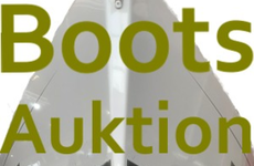 Bootsauktion Gebrauchte Motorboote aus Konkursmasse